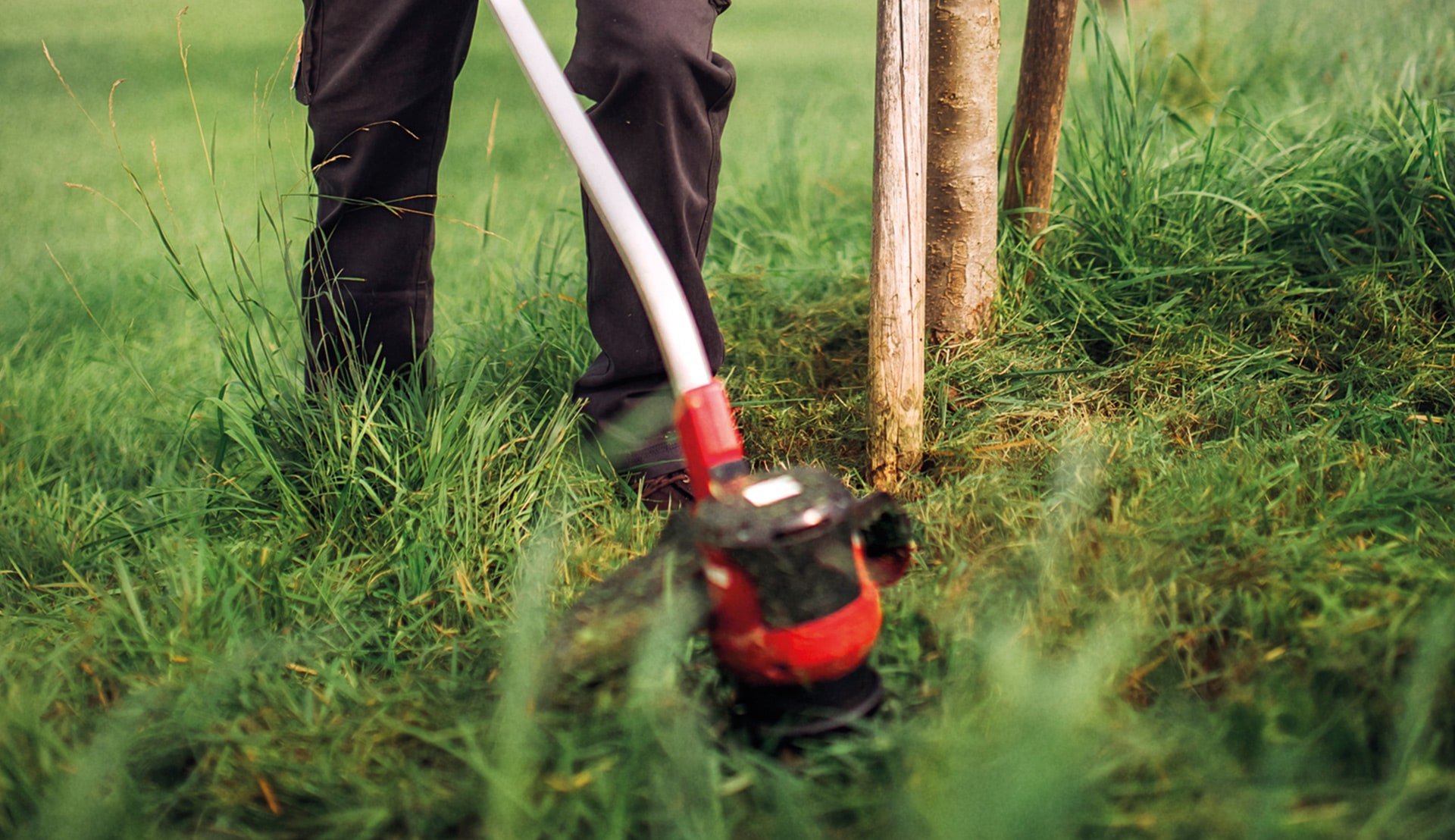 A man removes the grass from around a tree