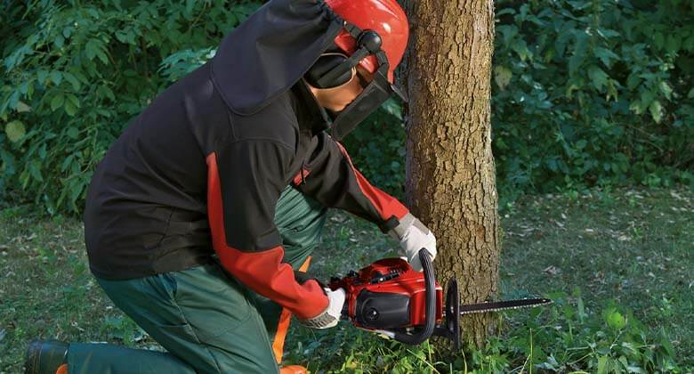 a man cuts a tree with a chainsaw