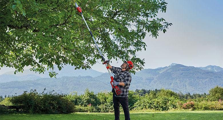 a man cuts a tree with a high pruner