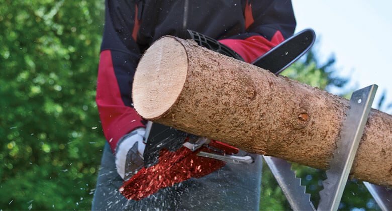 a tree trunk is cut with a chainsaw