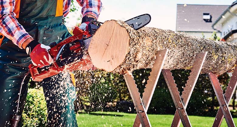 a tree trunk is cut with a chainsaw