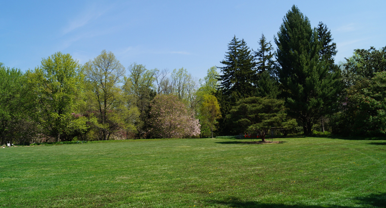 large mowed lawn